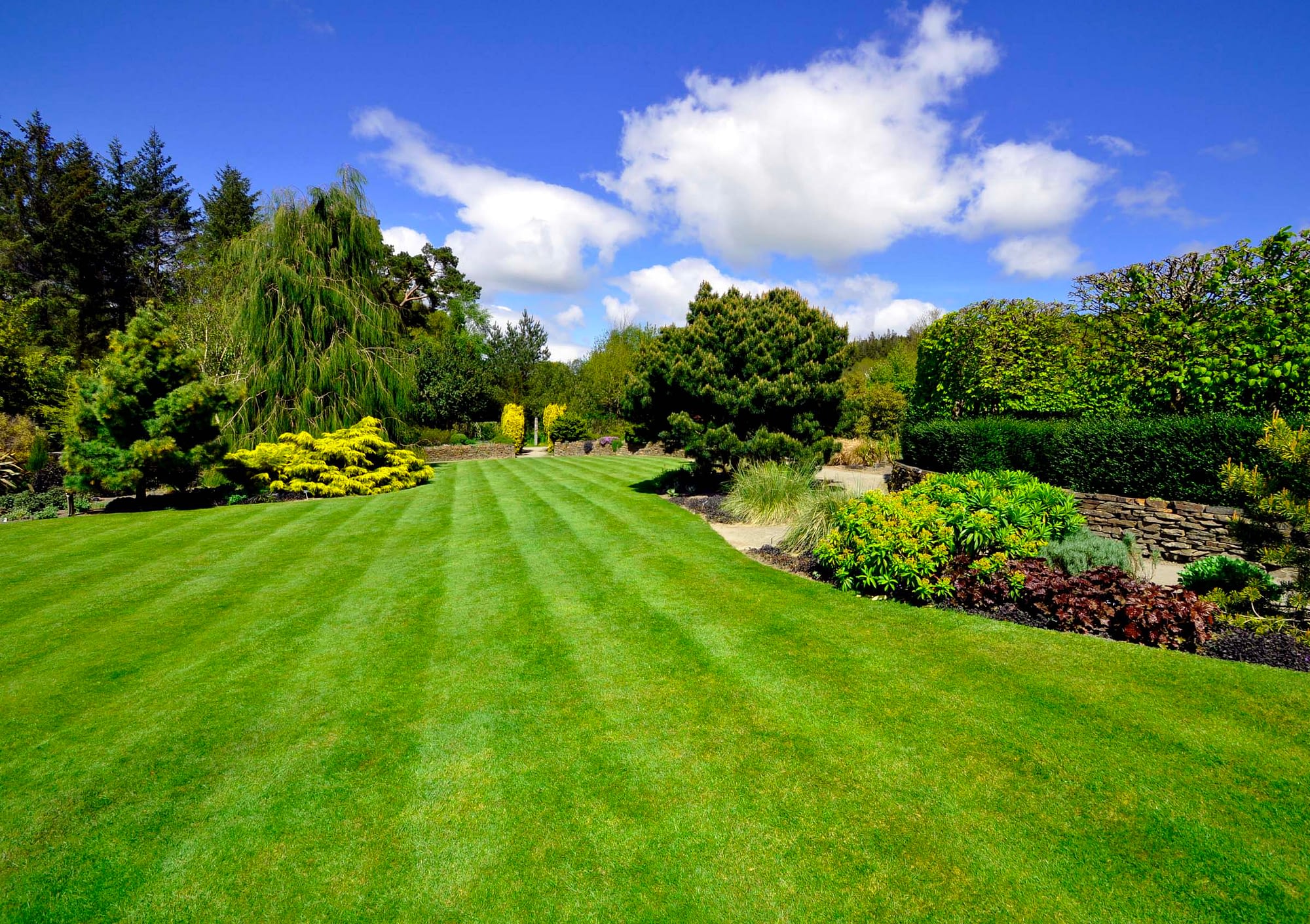 Great British Lawn pic 10