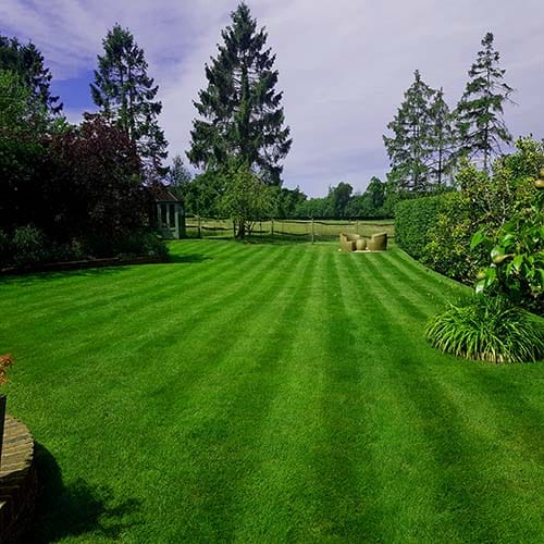 Great British Lawns Pic 9